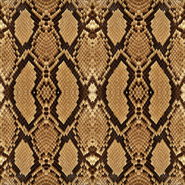 Seamless snake skin, snake texture.