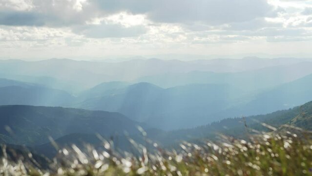Mountain landscape, alpine meadows, green mountain and grass close-up. Calm mountain weather, sunny. The top of the mountain. Light wind in the mountains. High quality 4k footage