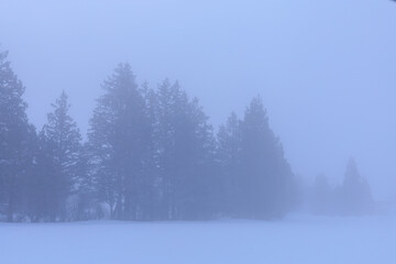 寒い冬の朝　雪景色　霞み