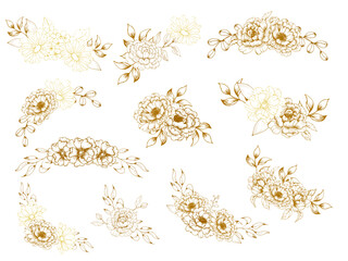 set of hand drawn floral elements