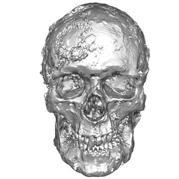 3D render of chrome terminator skull head illustration