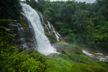 Naklejka premium waterfall in the forest