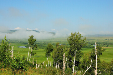 Fototapeta premium View through birch trunks to a picturesque valley and a high mountain on the edge of the steppe with peaks shrouded in thick fog.
