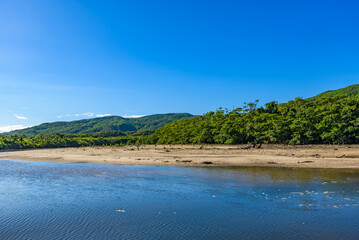 Landscape of the Nakama River Mangrove Forest, a UNESCO World Heritage Site, in Iriomote Island, Okinawa Prefecture, Japan