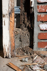 Termite and dry rot damaged lumber close up