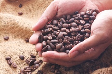 A coffee bean is a seed of the Coffea plant and the source for coffee. It is the pip inside the red...