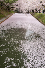 散り桜のイメージ