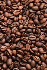 A coffee bean is a seed of the Coffea plant and the source for coffee. It is the pip inside the red...