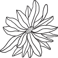 drawing,beauty,flower,pattern,orchid,lotus,tulip,peony,art,simple,painting,canvas,element,leaf,stamen,bloom,feminine,style,silk screen