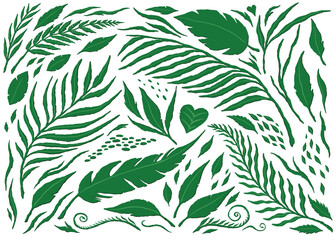 Jungle leaves collection set. Vector Illustration