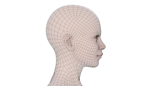 The woman's head is spinning and the skin gradually begins to shine through, exposing the frame. 3d video on a white background.