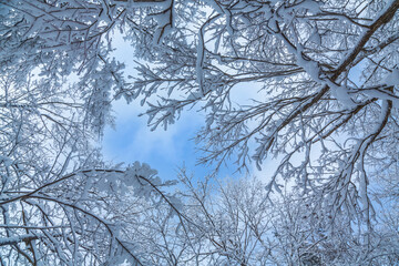 只見線展望台雪景色