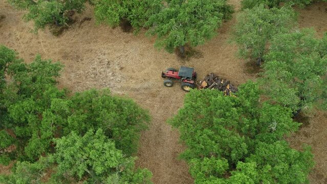 Cork Tractor Harvest in Portugal 4K 01