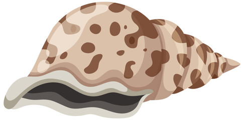 Isolated shell rocky shore