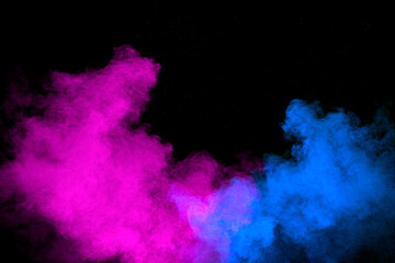 Fototapeta na wymiar Blue pink color powder explosion on black background.