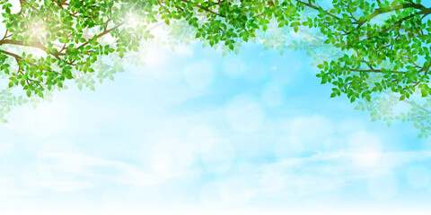 新緑　葉　風景　背景