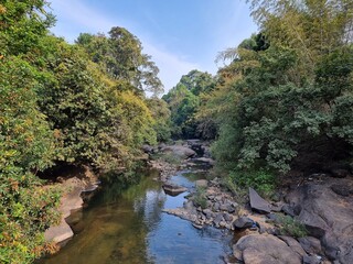 Fototapeta na wymiar River in the forest, Kerala, India.