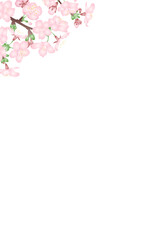 Obraz na płótnie Canvas 白背景にグラデーションで立体的な桜の花のベクターイラスト　はがきサイズ縦型