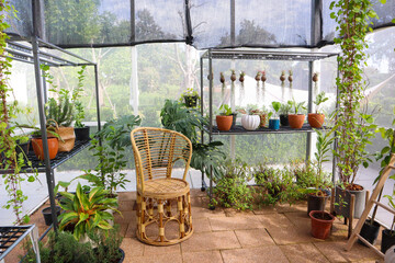 Plants in greenhouse at garden,no people.