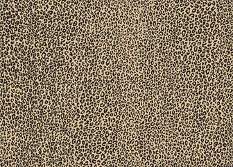 Leopard skin pattern design. Vector illustration background. For print, textile, web, home decor, fashion, surface, graphic design