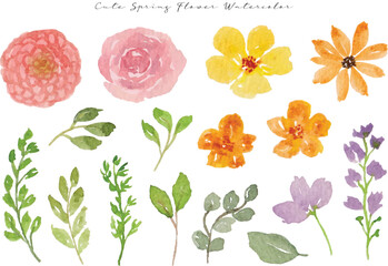 set of colorful spring wild flower and leaf watercolor