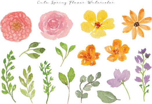 set of colorful spring wild flower and leaf watercolor