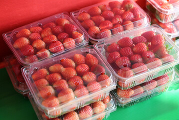strawberry box for sale, fresh ripe strawberry harvest strawberries picking on plastic box in the...