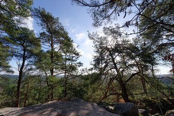 La Roche aux sabots hill in Fontainebleau forest