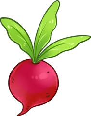 beetroot handdrawn illustration