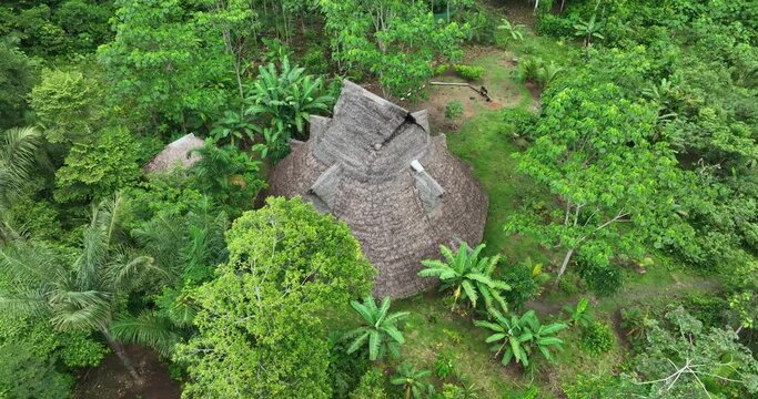 Maloca in the jungle of Peru near Iquitos, house for meditation, cerimonies, Ayahuasca, Cambpo, yoga, master plants, medicine. Aerial above view drone high resolution 4k