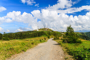 快晴の王ヶ頭山頂に向かう道
