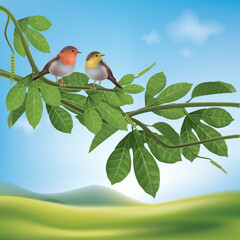 Two birds in love perched on a tree branch on nature background.