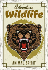 Grizzly bear head vector decorative poster in vintage style. Illustration with sample text and grunge textures on separate layers