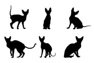 Set of silhouettes of sphynx cats vector design