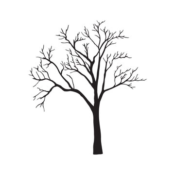 silhouette of a tree isolated. Isolated Dead tree on the white background. Dead tree silhouettes. Vector EPS 10