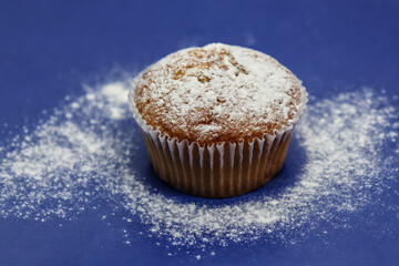Delicious cupcake sprinkled with powdered sugar