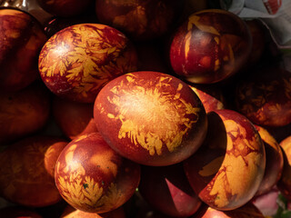 Macro shot of Easter eggs decorated with natural plants and flower blossoms boiled in onions peels....