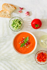 Gazpacho soup. Traditional spanish cold tomato soup.
