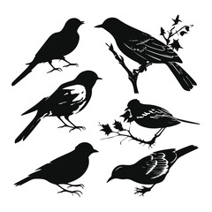 Vector collection of birds silhouette