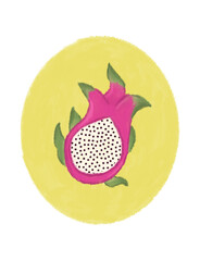 Dragon fruit pitaya hand drawn watercolor doodle