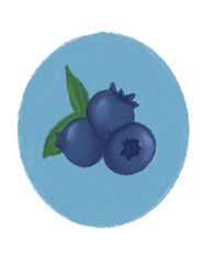 Blueberry Hand drawn watercolor fruit art