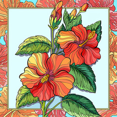 beautiful red hibiscus flower illustration 