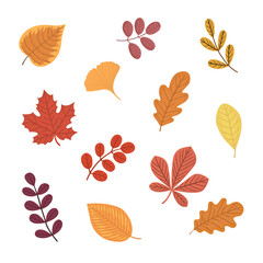 Autumn leaves set. Cartoon flat vector illustration.