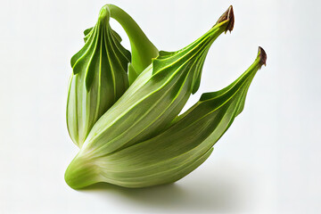 Organic One natural Okra. Generative Ai