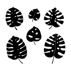 Monstera leaves set. Black silhouette. Tropical forest element. Vector illustration.