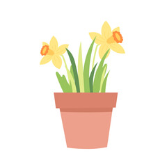 Narcissus flower in a pot. Spring plant in flower pot. Cartoon flat vector illustration.
