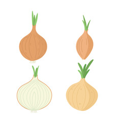 Onion set, whole and half. Cartoon flat vector illustration.