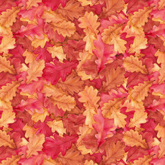 Naklejka na ściany i meble Watercolor autumn background with oak leaves. Hand drawn illustration isolated on white.