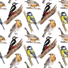 Watercolor seamless pattern with forest birds on a white background. Print for designs and decoration of children's products, textiles, clothes, stationery.Robin bird, titmouse and woodpecker.