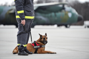 Search and rescue canine team ready for action